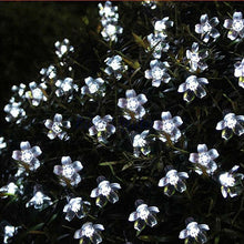 Load image into Gallery viewer, Solar Cherry Blossom Lights All Weatherproof Vista Shops