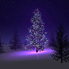 Load image into Gallery viewer, Colorful Firefly - Solar mini LED Christmas lights on Strings Vista Shops