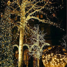 Load image into Gallery viewer, Firefly Solar mini LED Christmas lights on String Vista Shops
