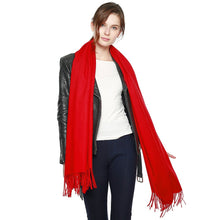 Load image into Gallery viewer, Privilege Pashmina Shawls With Fringe Benefits Vista Shops